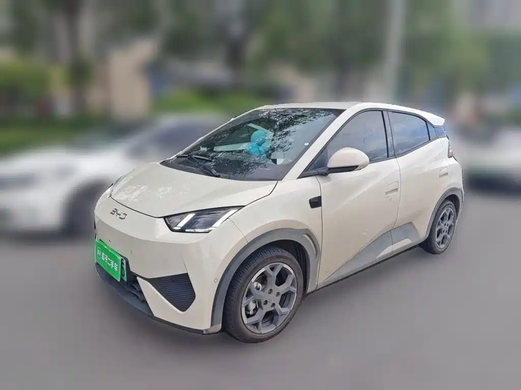 BYD Seagull