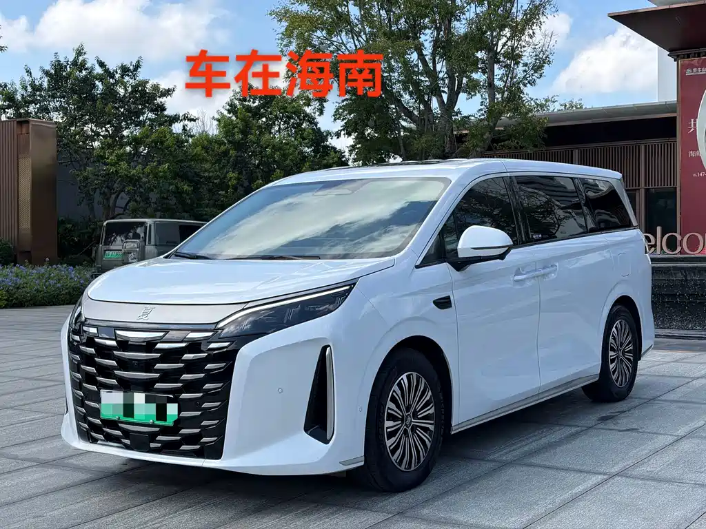 BYD Xia