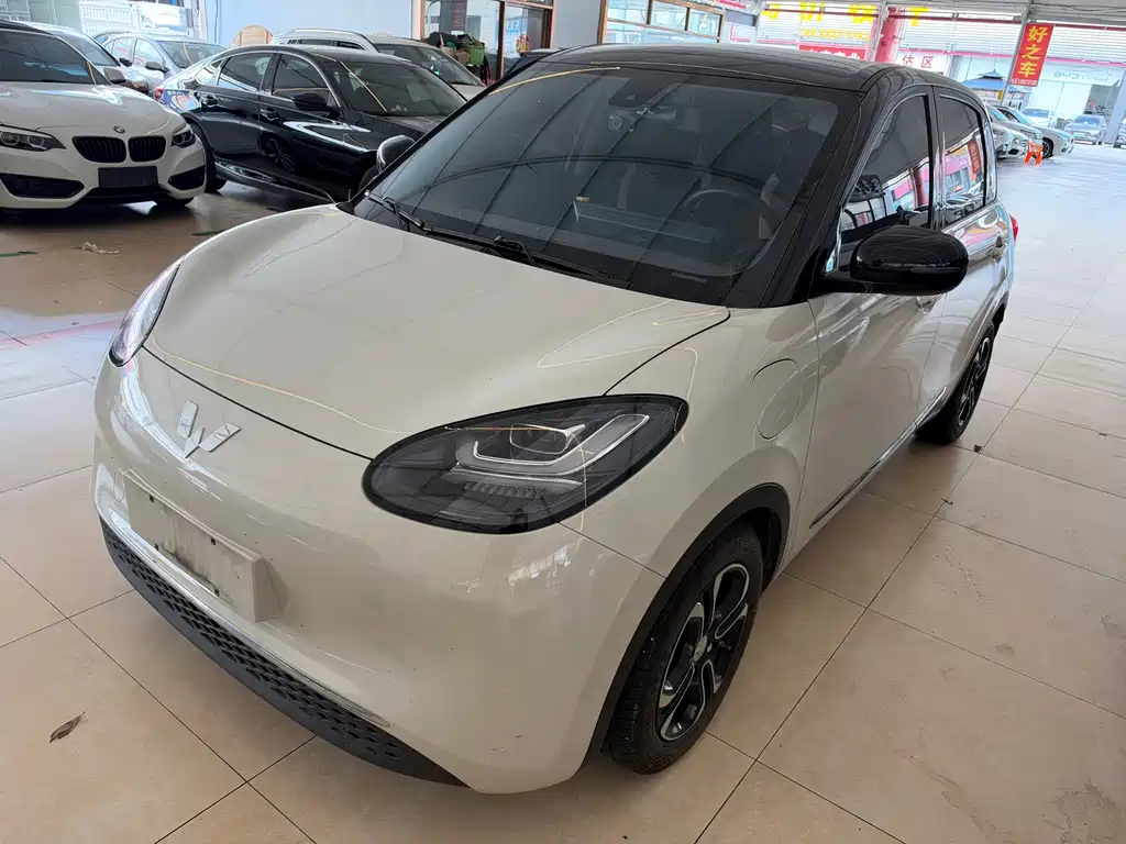 Wuling Binguo