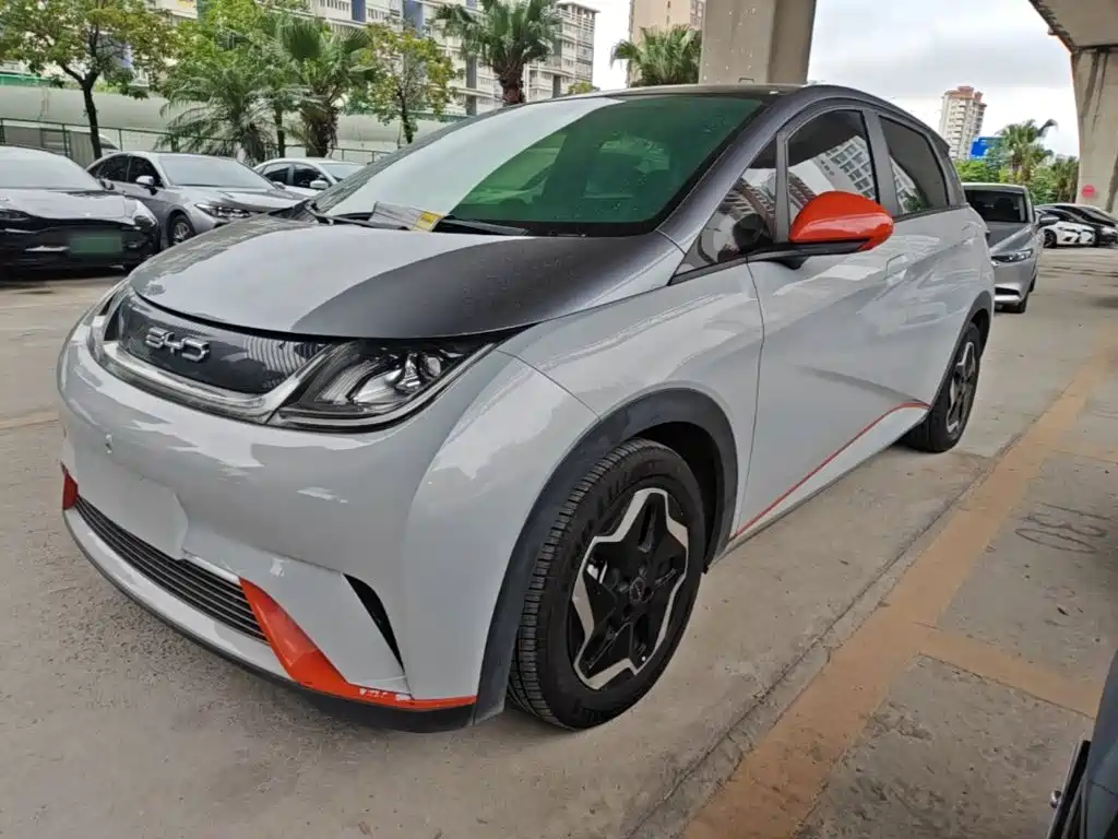 BYD Dolphin