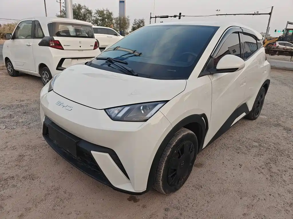 BYD Seagull