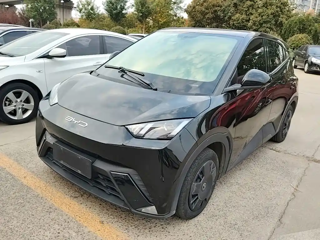 BYD Seagull
