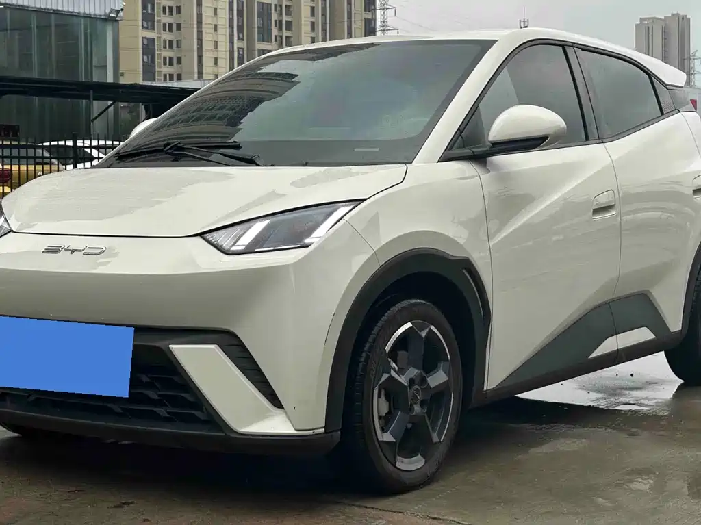 BYD Seagull