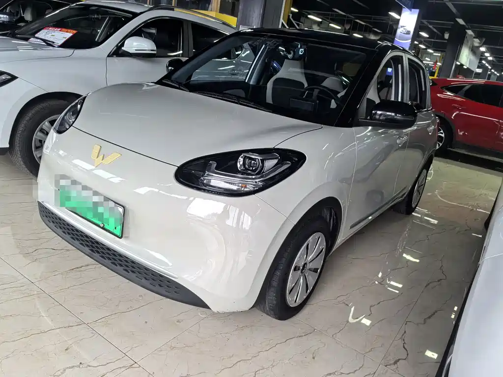 Wuling Binguo