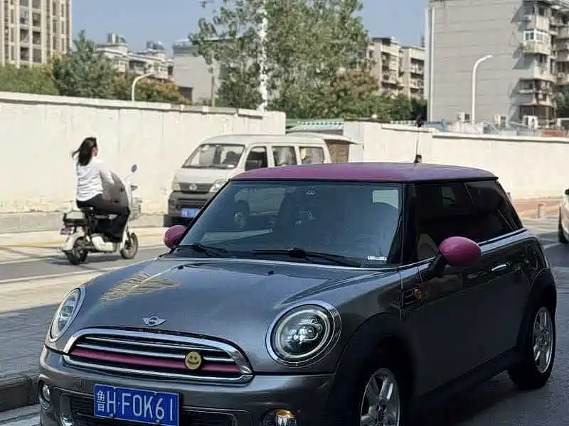 Mini Mini