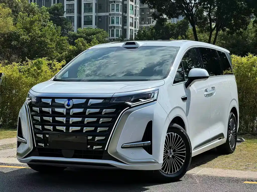 Denza D9