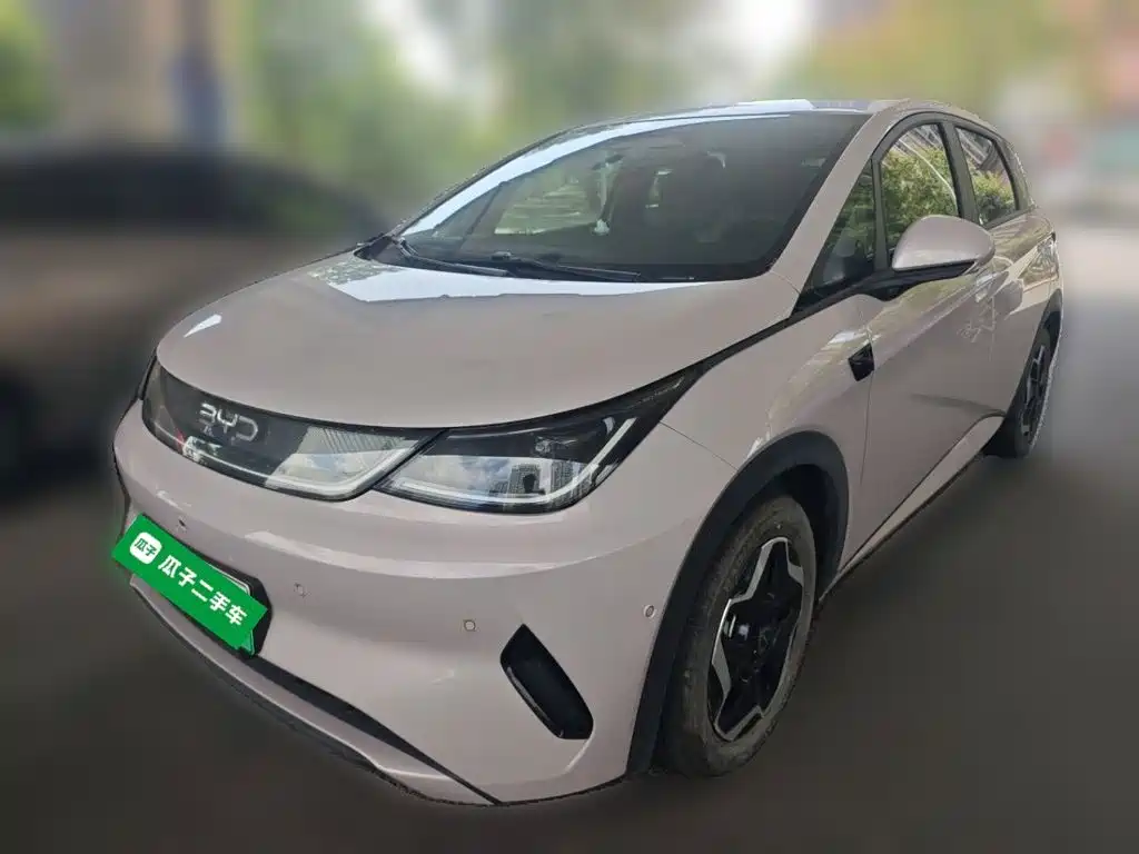 BYD Dolphin