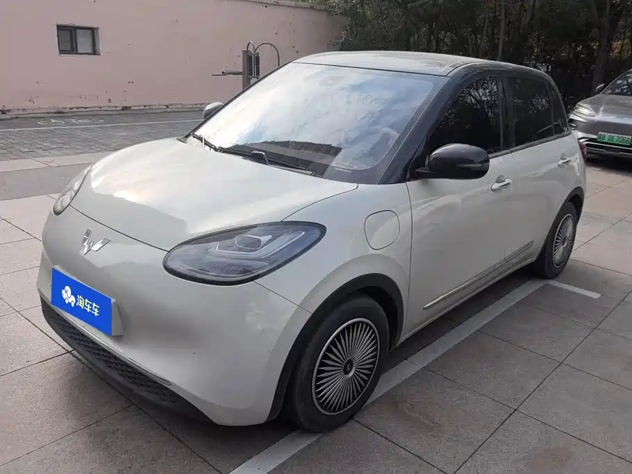Wuling Binguo