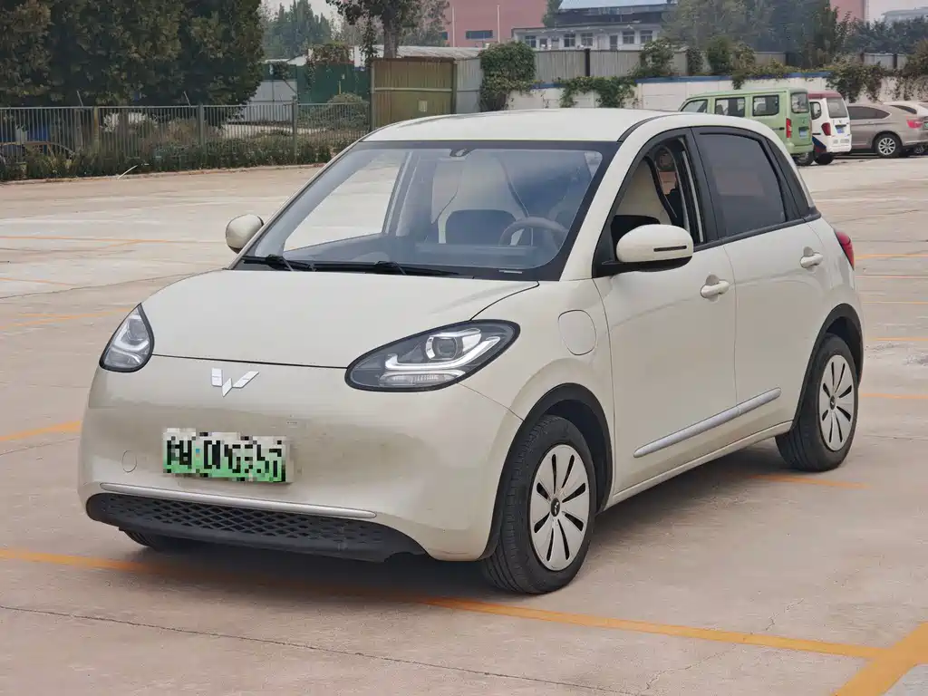 Wuling Binguo