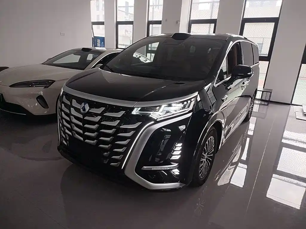 Denza D9