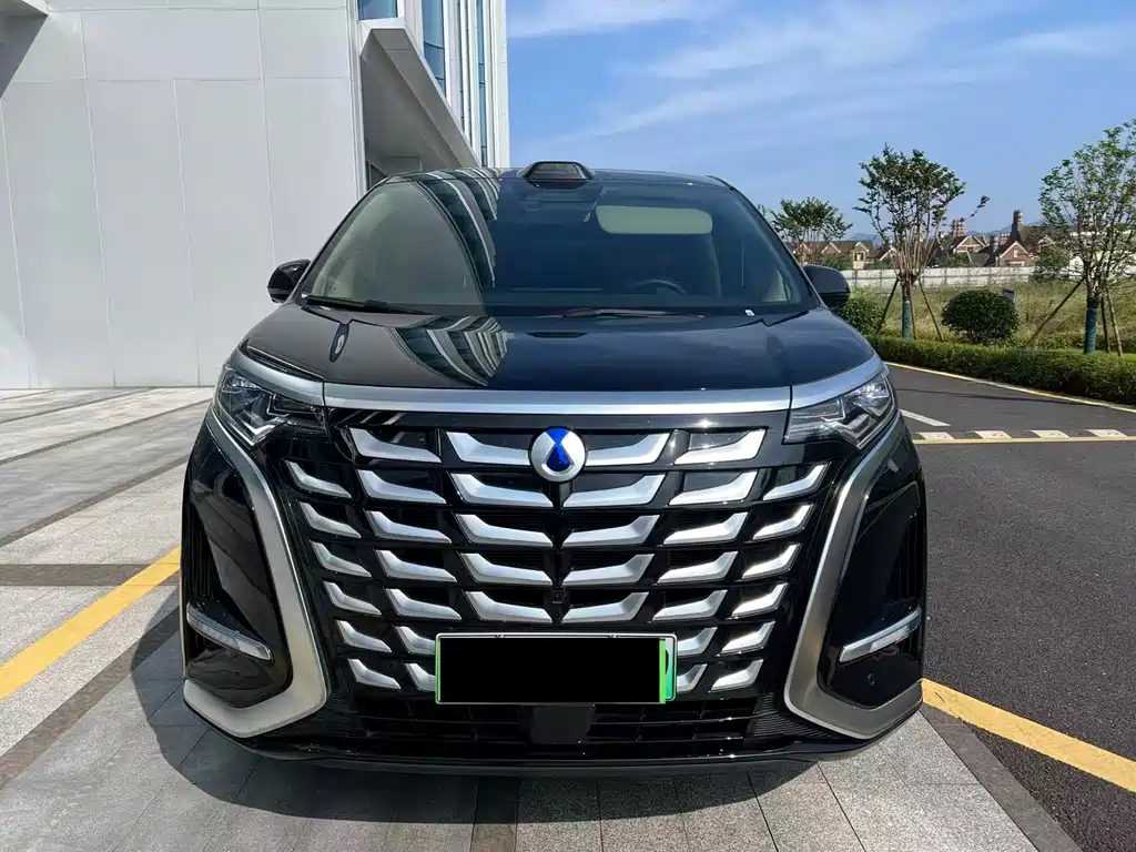 Denza D9