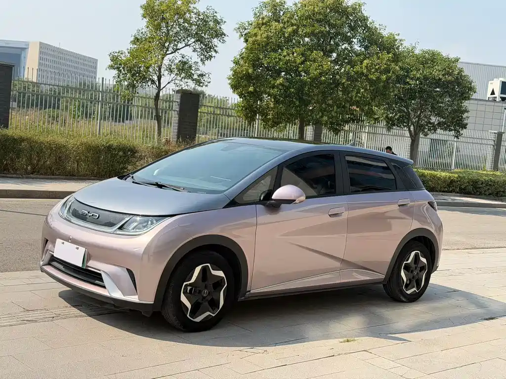 BYD Dolphin