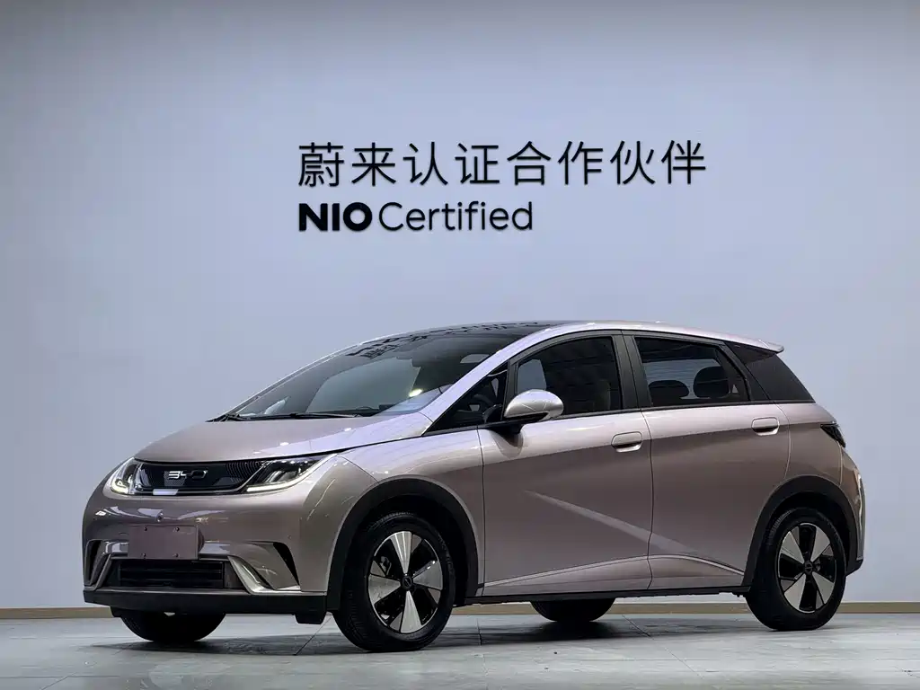 BYD Dolphin