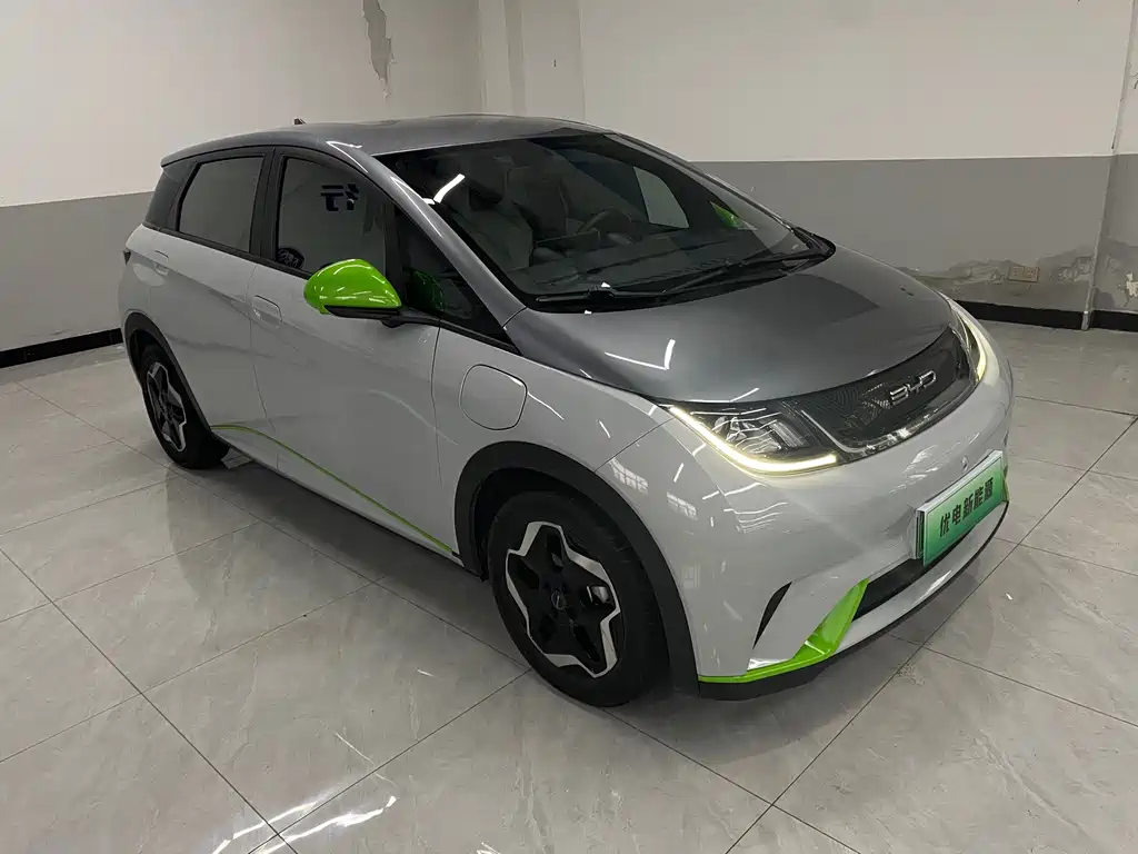 BYD Dolphin