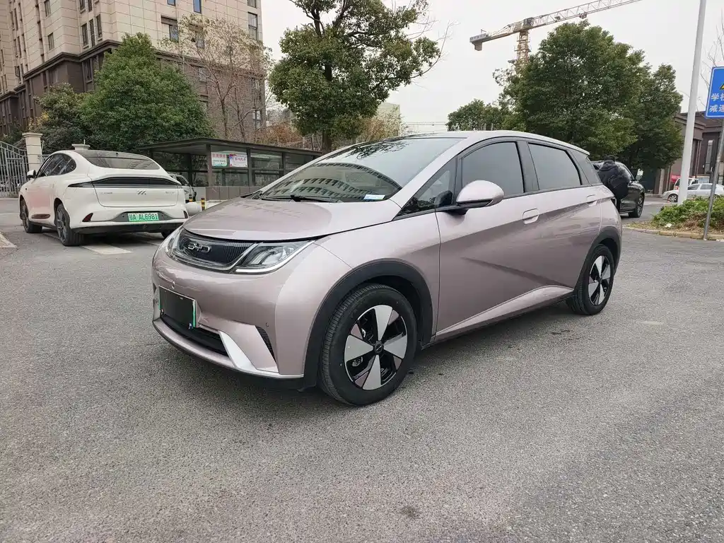 BYD Dolphin