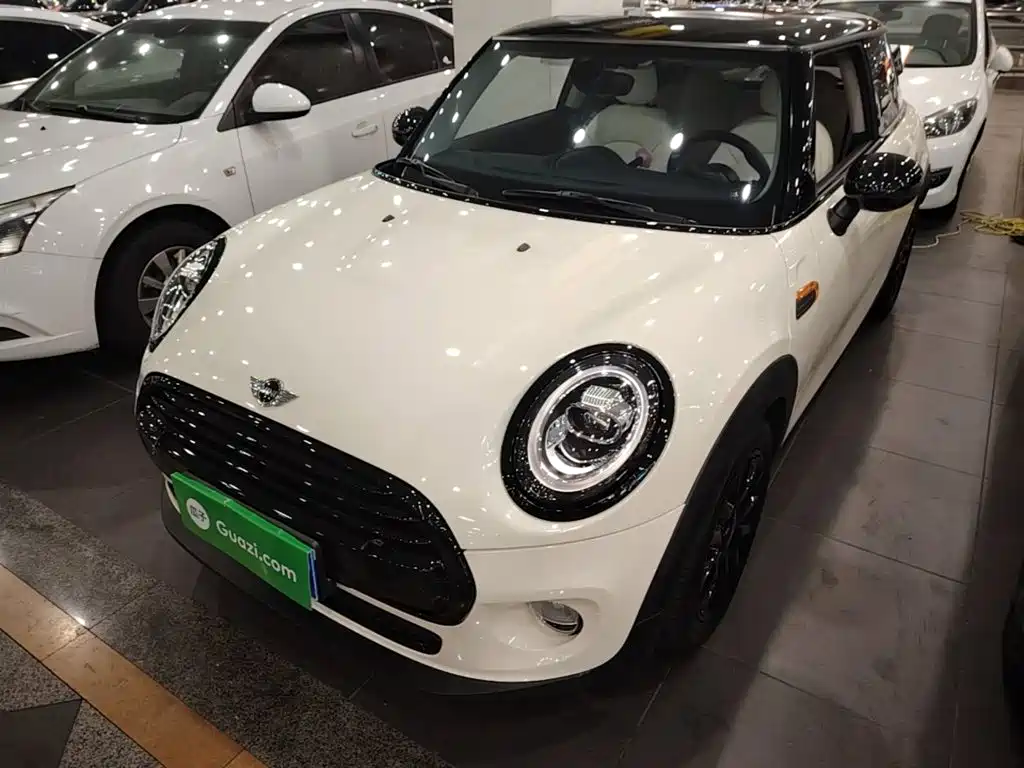 Mini Mini