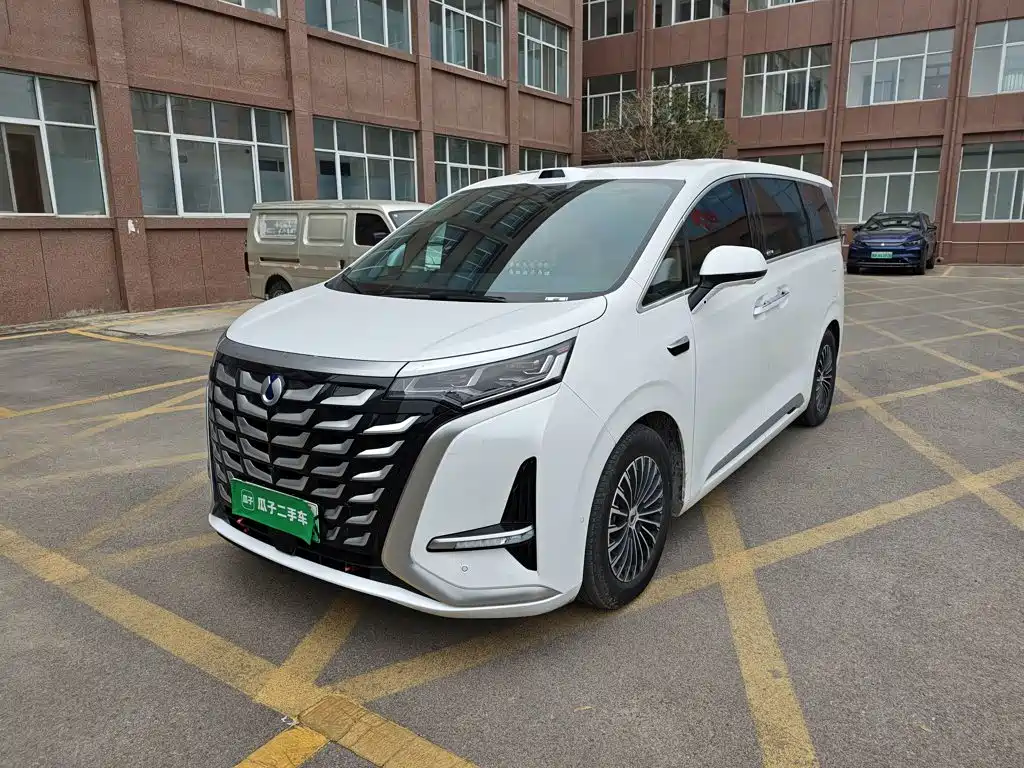 Denza D9