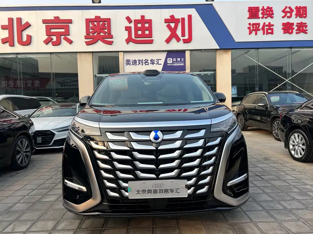 Denza D9