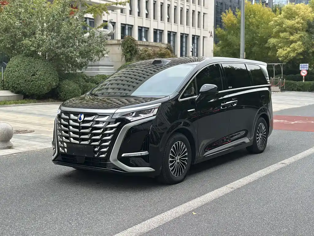 Denza D9