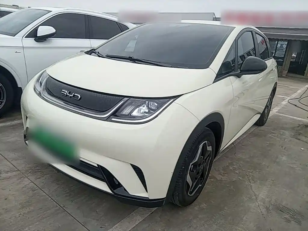 BYD Dolphin