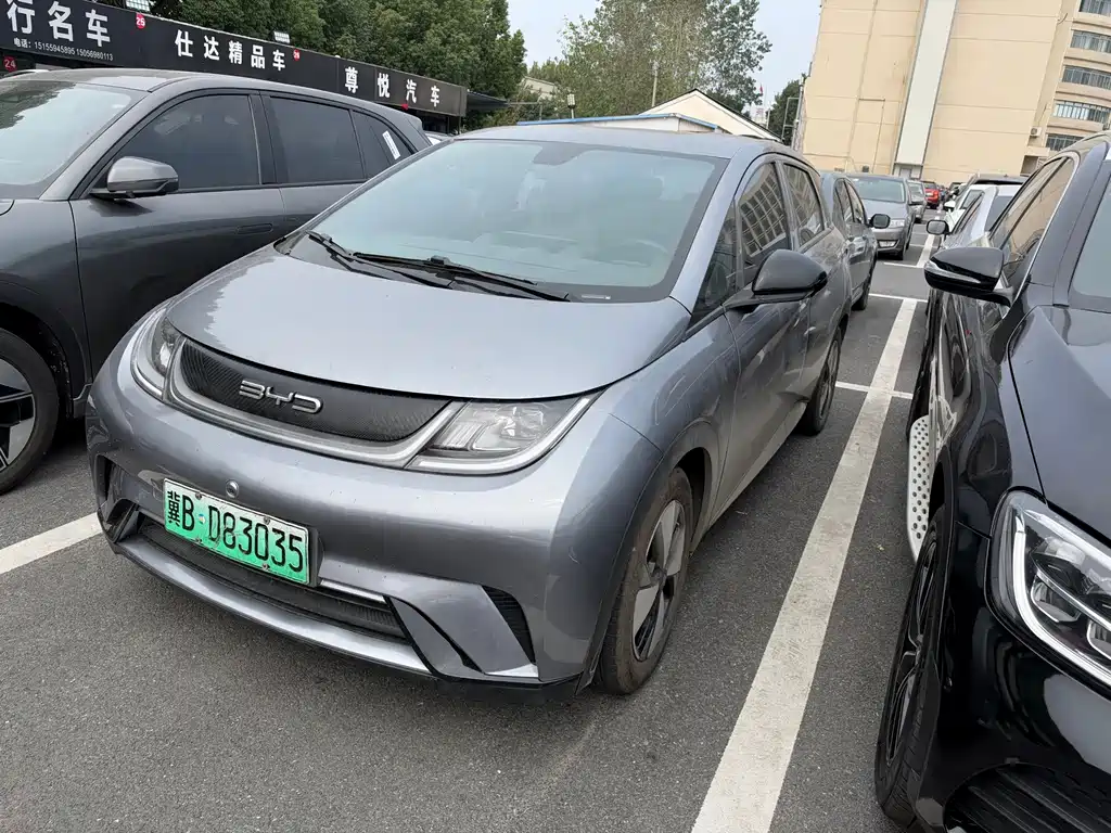 BYD Dolphin