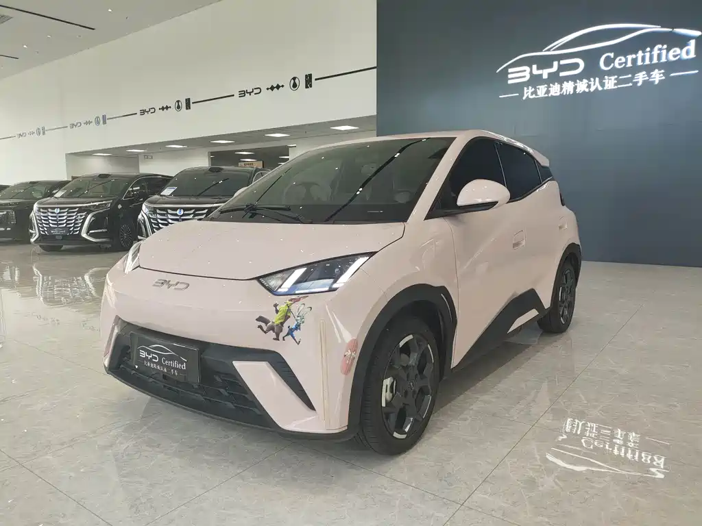 BYD Seagull
