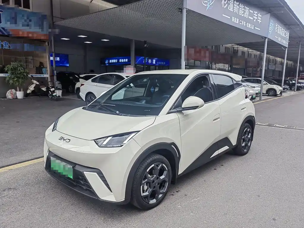 BYD Seagull
