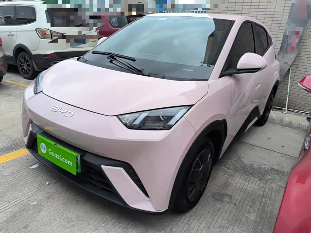 BYD Seagull