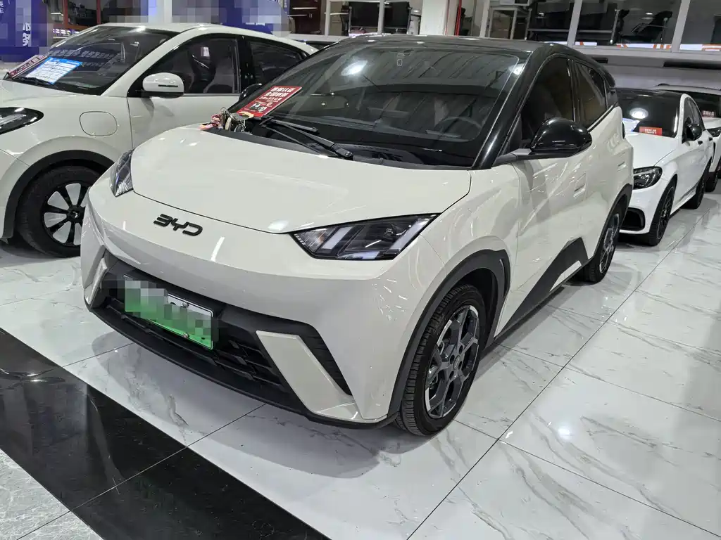 BYD Seagull