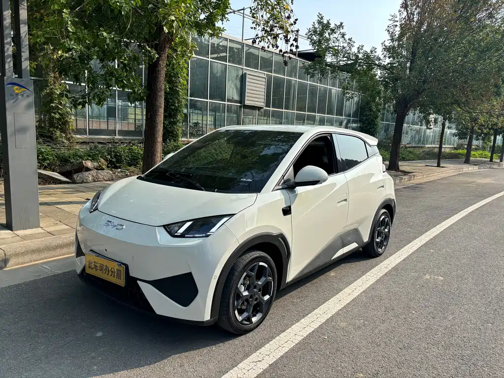 BYD Seagull