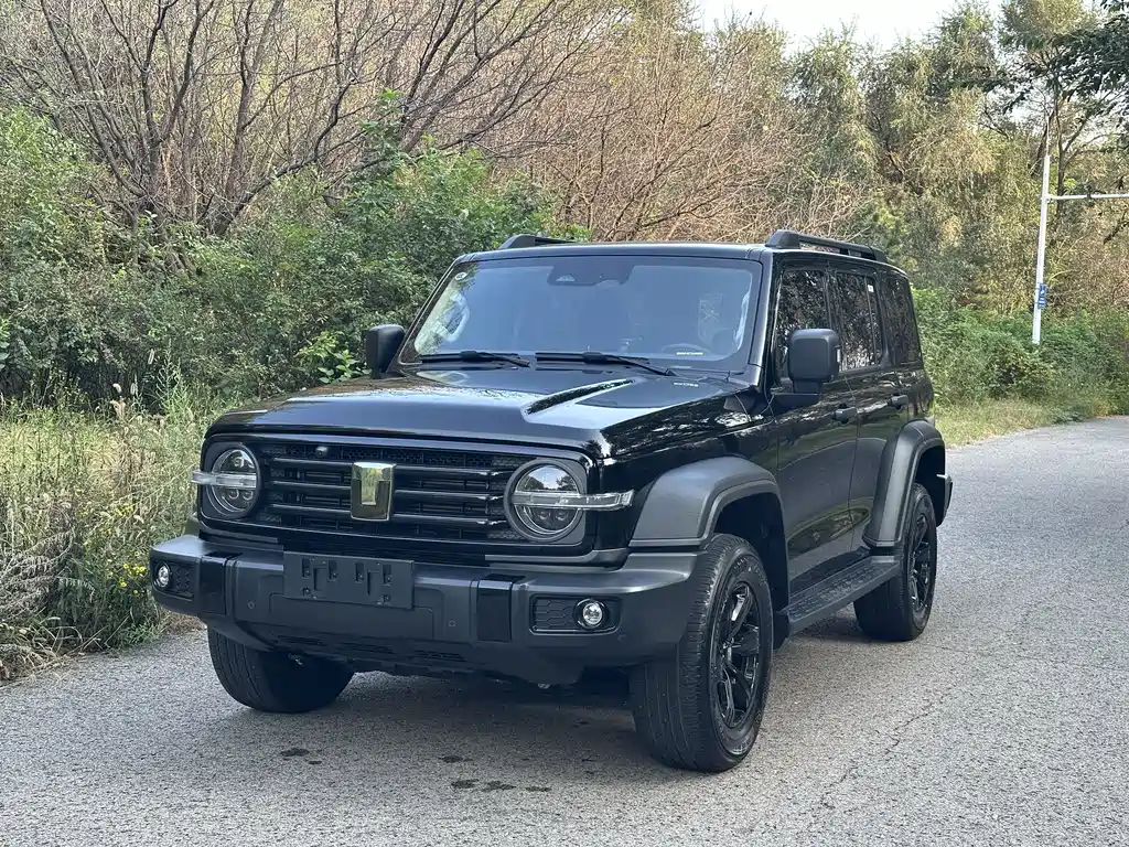 Tank 300