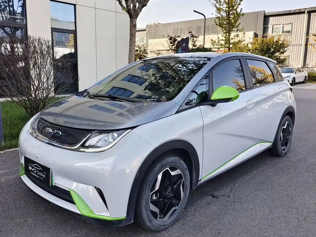 BYD Dolphin