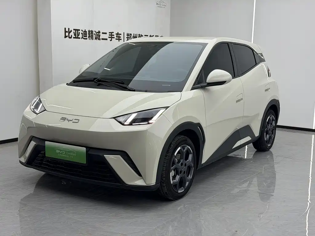 BYD Seagull
