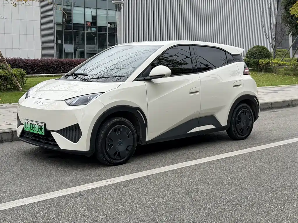 BYD Seagull