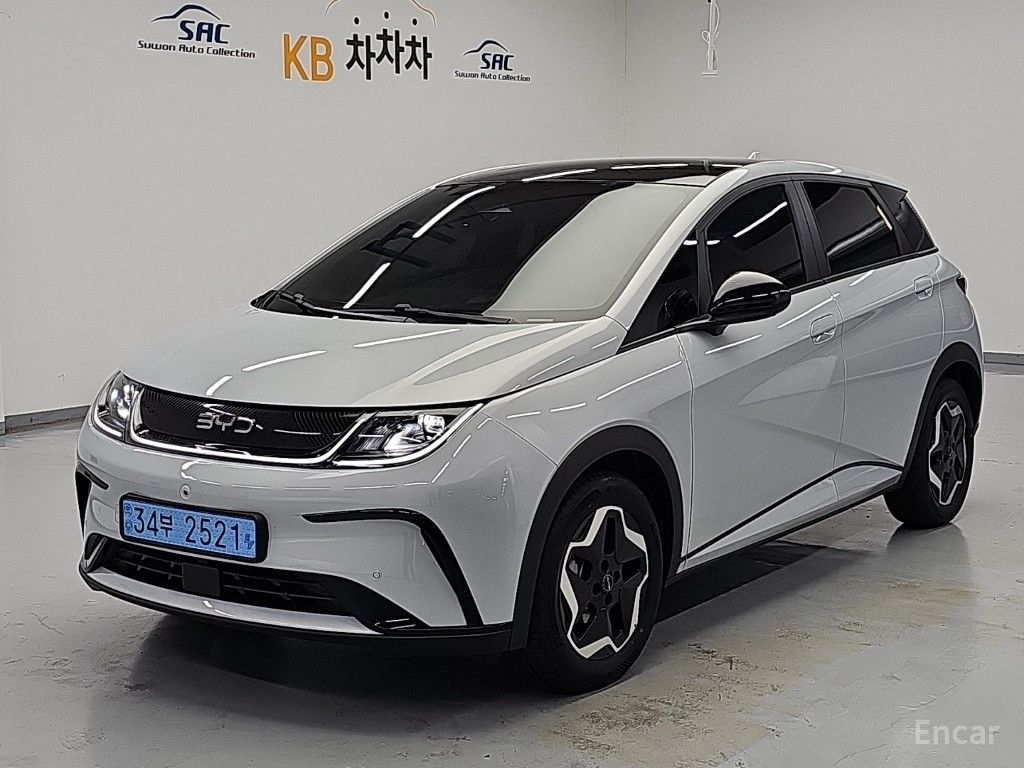 BYD Dolphin