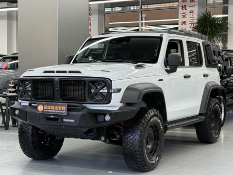 Tank 300