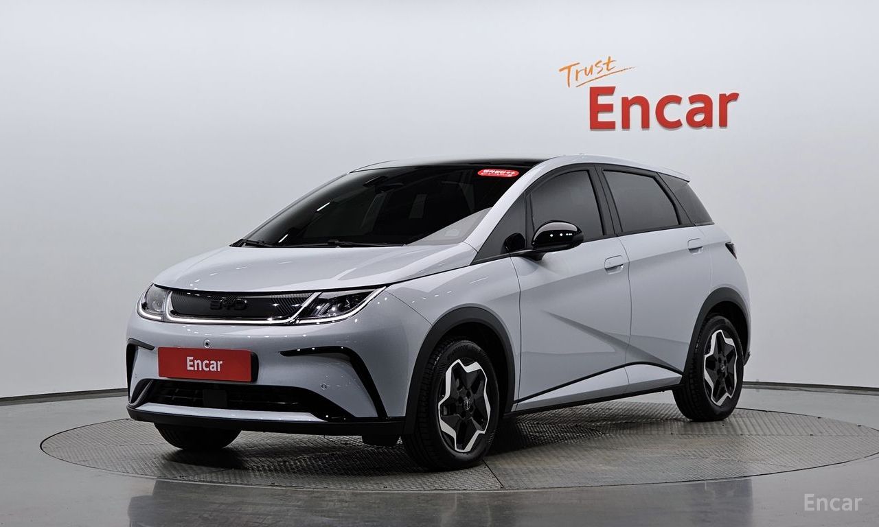 BYD Dolphin