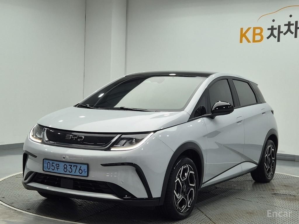 BYD Dolphin