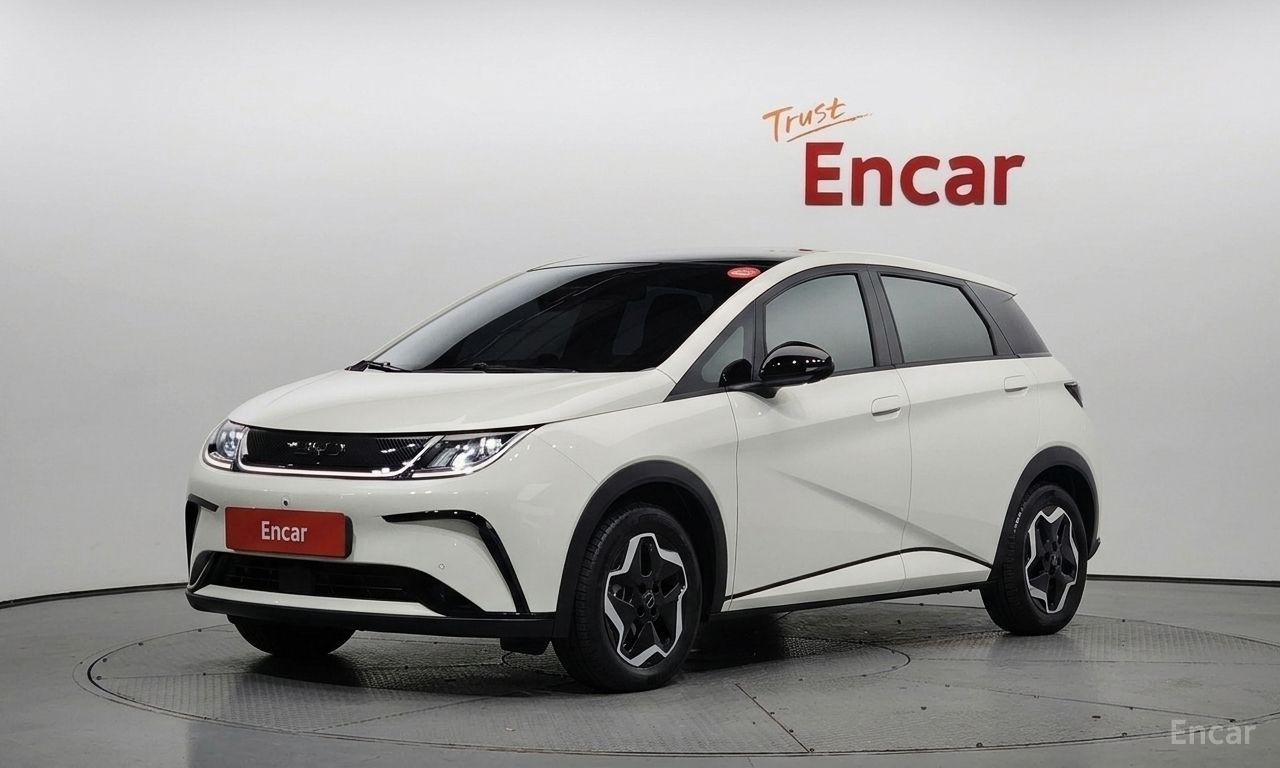 BYD Dolphin