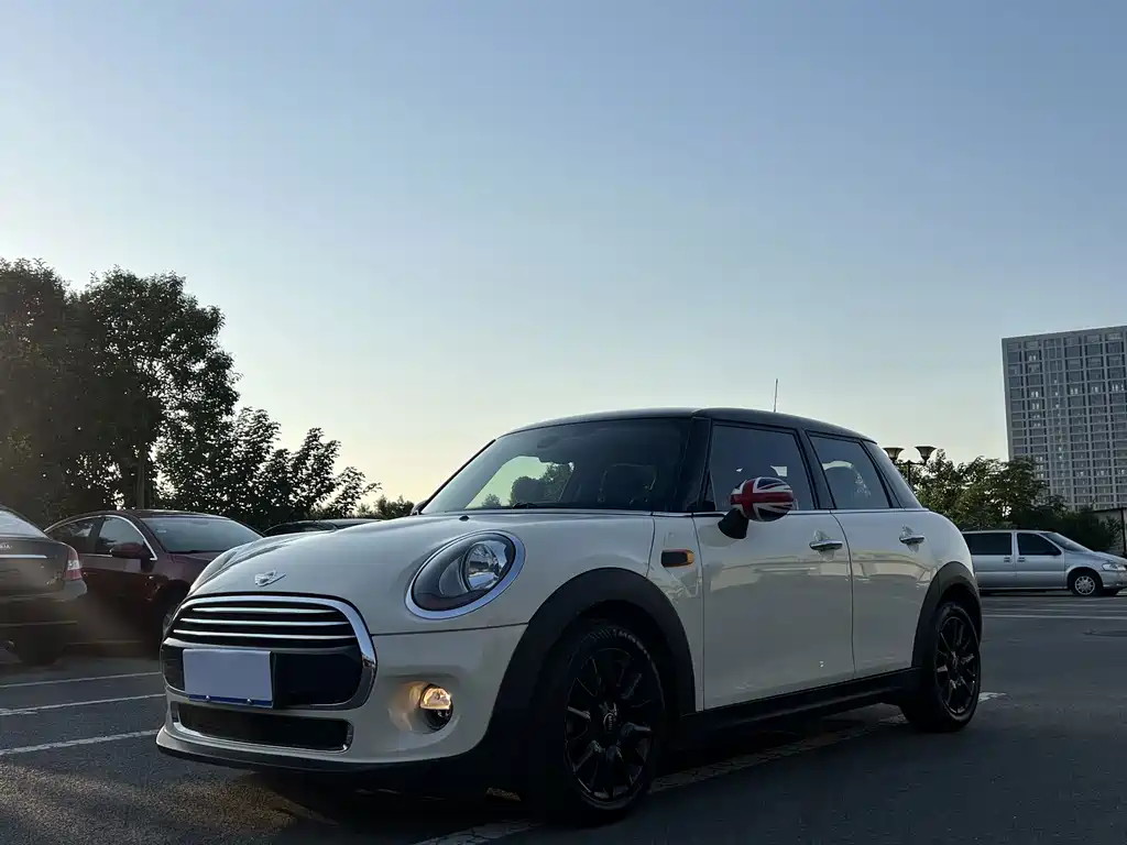 Mini Mini
