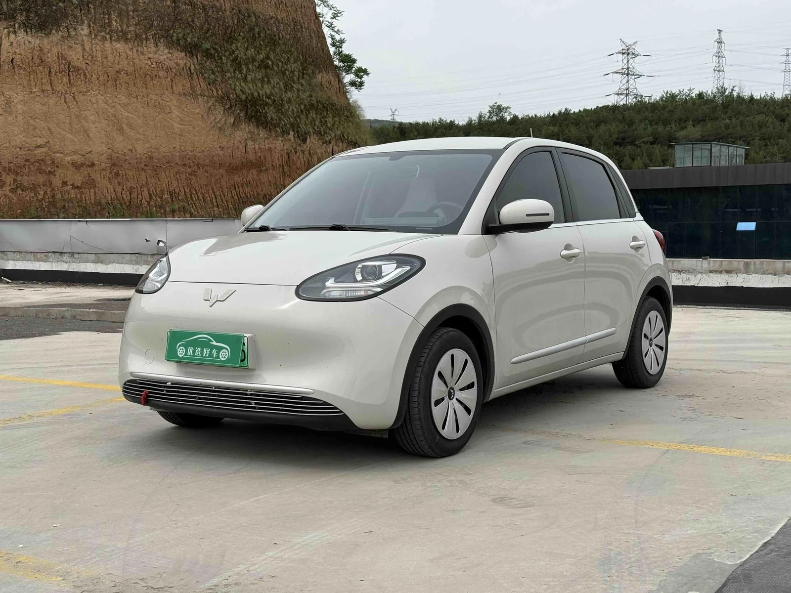 Wuling Binguo