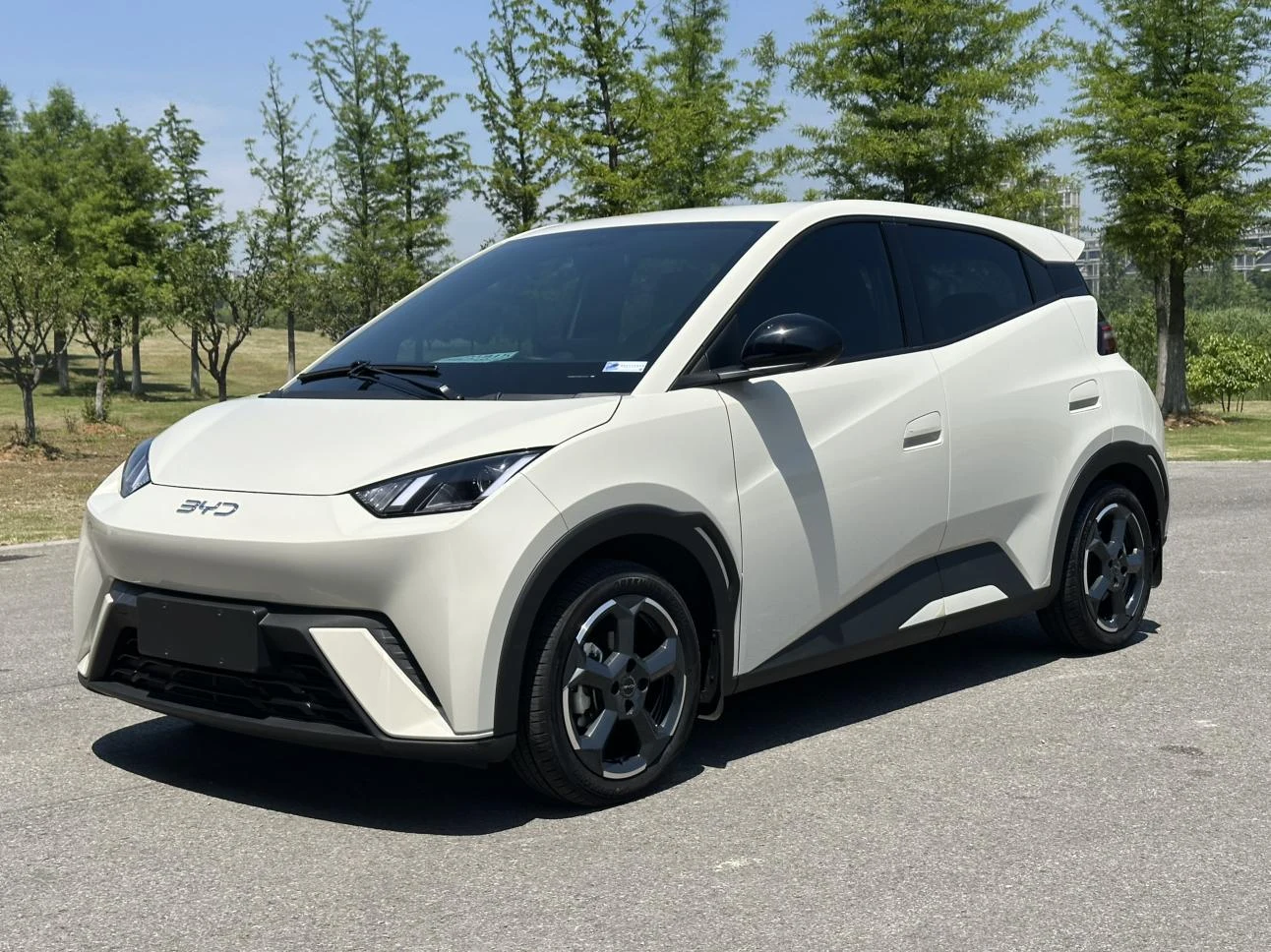 BYD Seagull