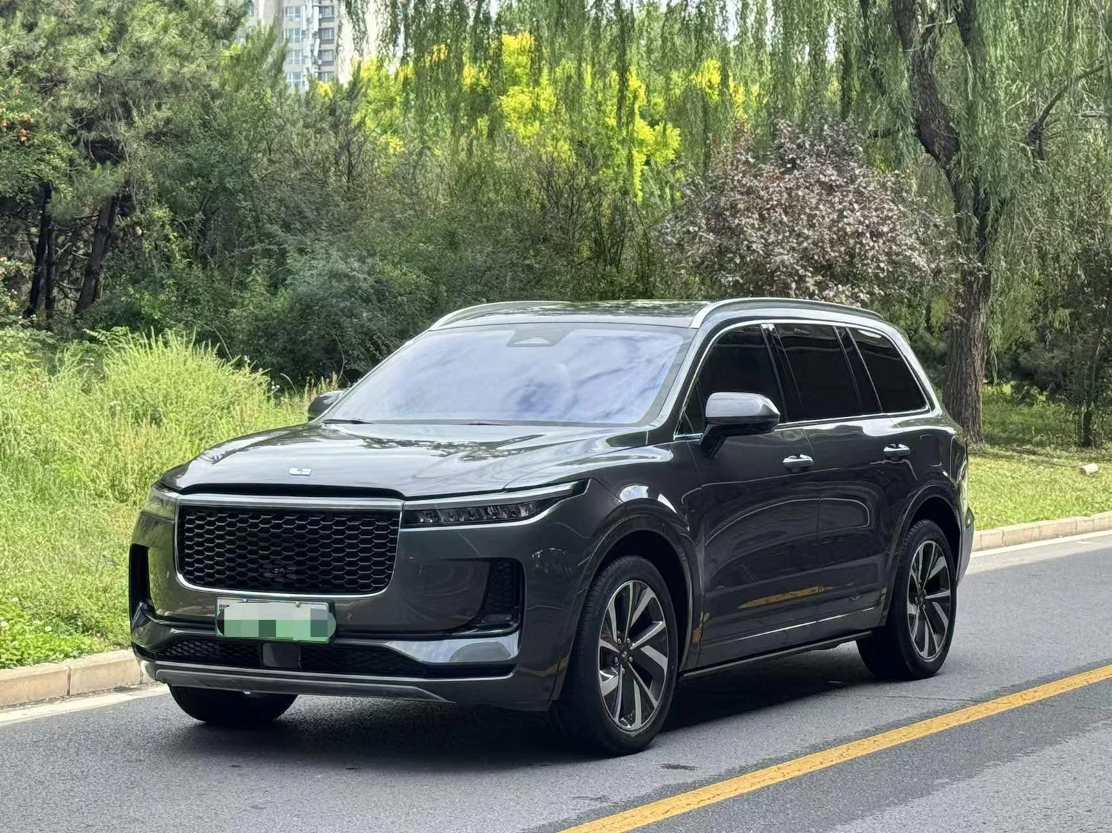 Li Auto ONE