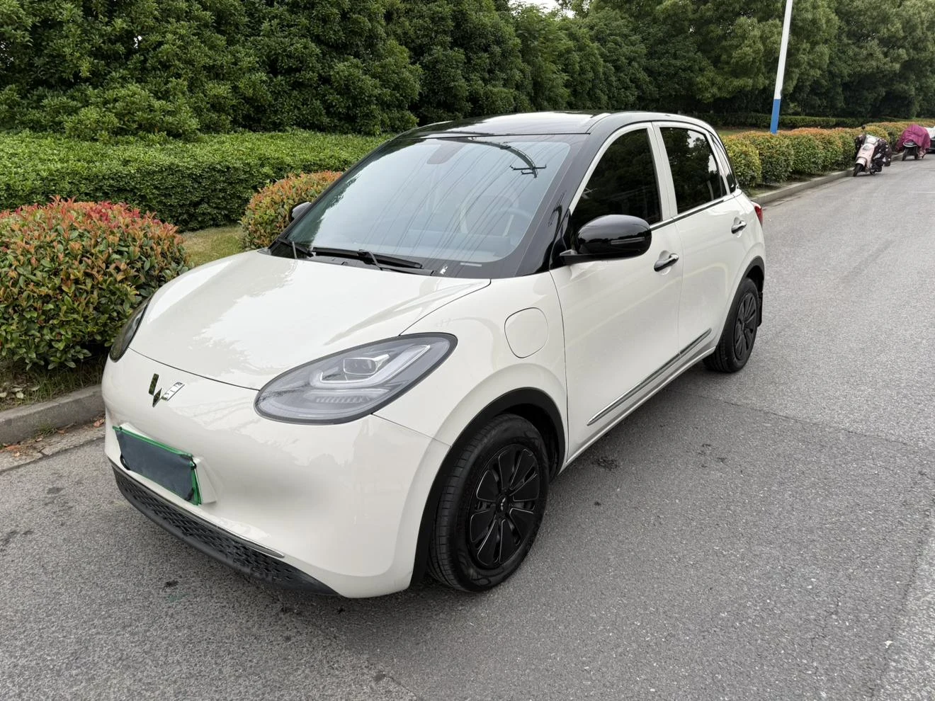 Wuling Binguo