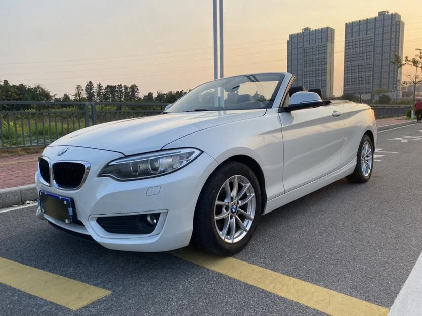 BMW 2 Series