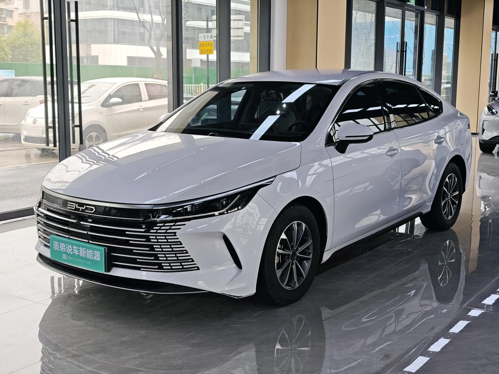 BYD Destroyer 05