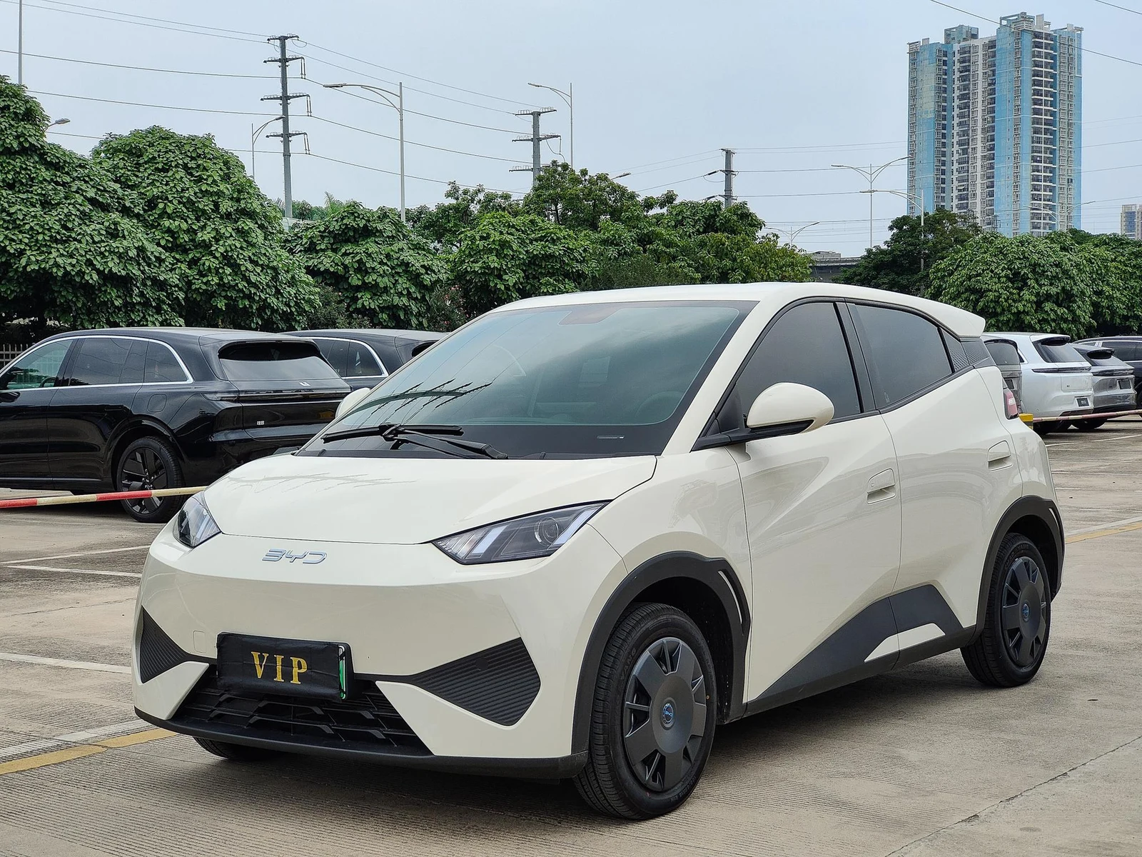 BYD Seagull