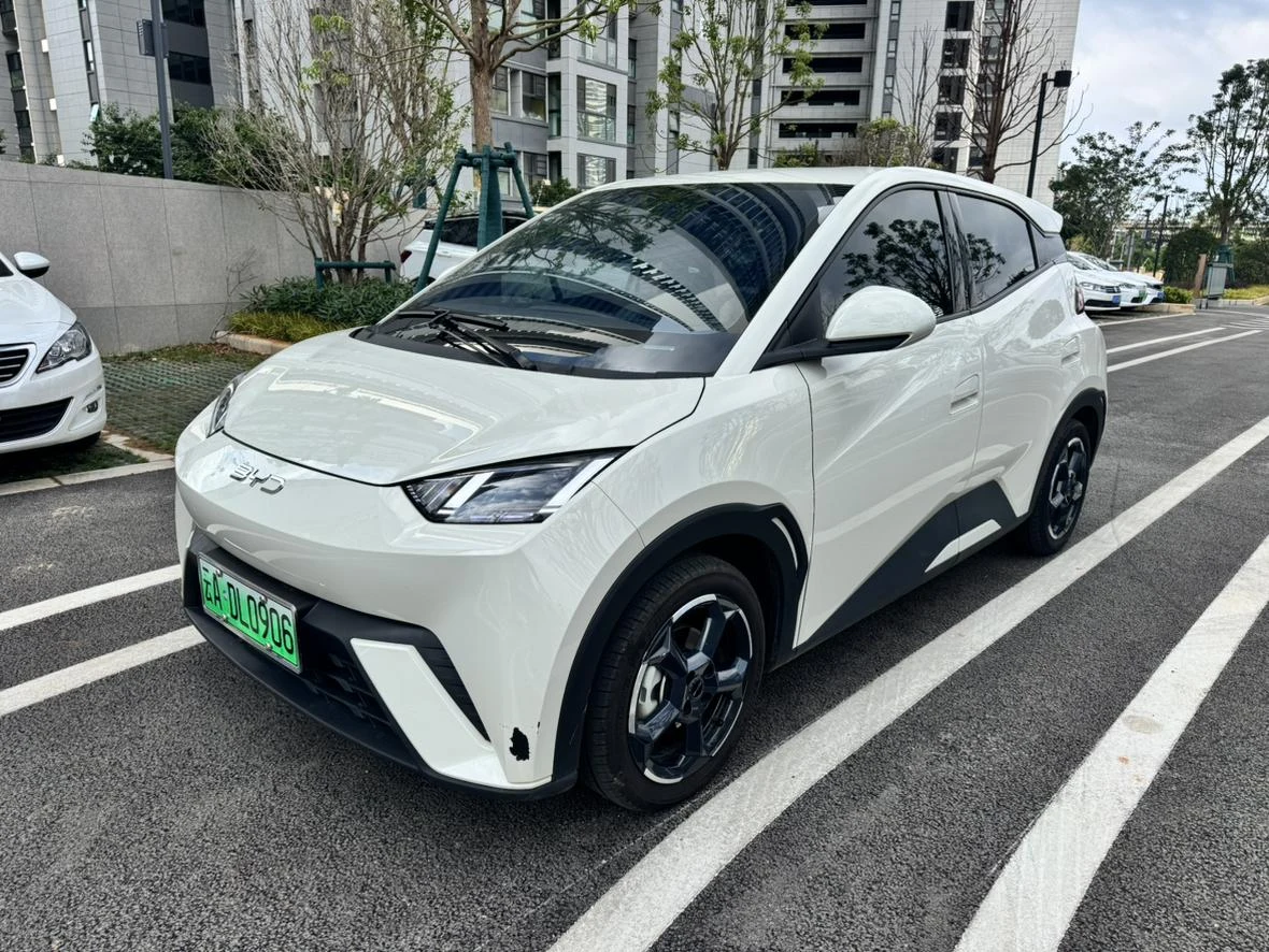 BYD Seagull