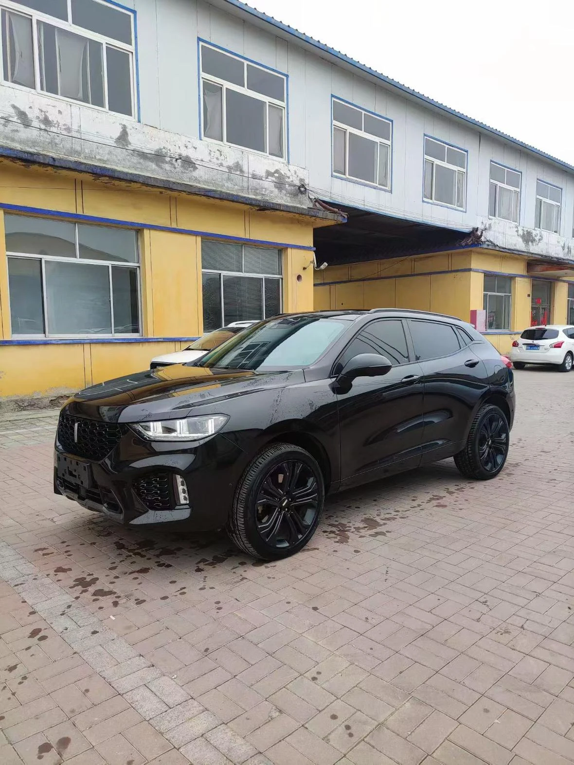 Wey VV5