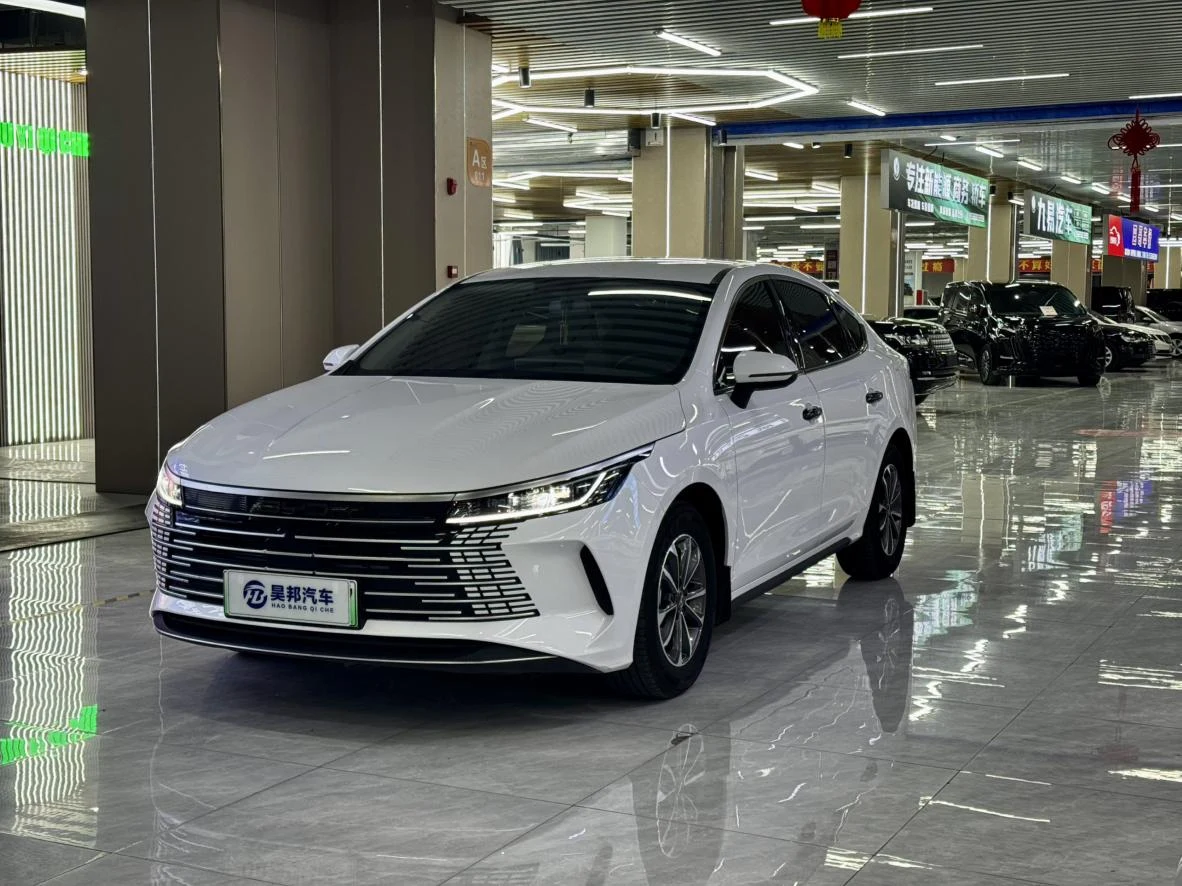 BYD Destroyer 05